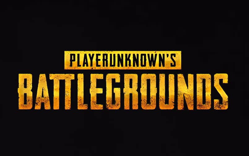 PlayerUnknown's Battlegrounds Review